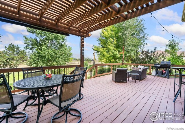 4511 Haystack Dr, Windsor, CO 80550 - photo 27
