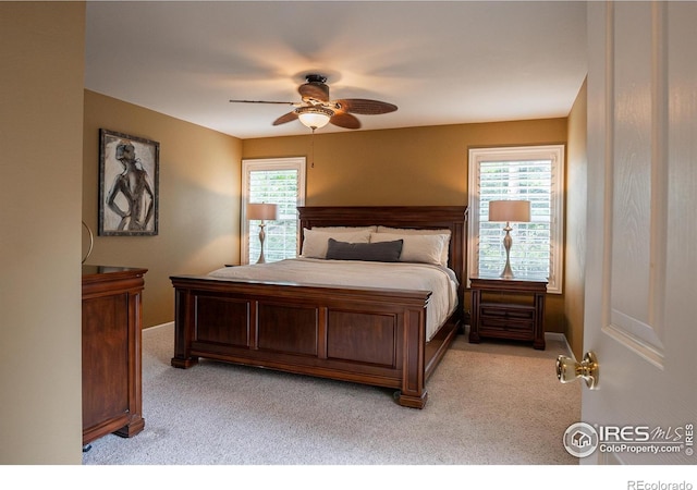 925 Benson Ln, Fort Collins, CO 80525 - photo 10