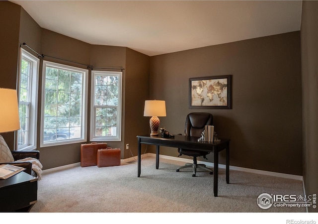 925 Benson Ln, Fort Collins, CO 80525 - photo 11
