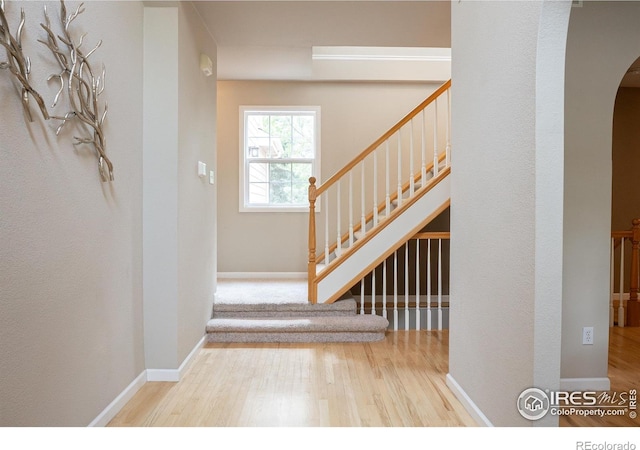 925 Benson Ln, Fort Collins, CO 80525 - photo 13