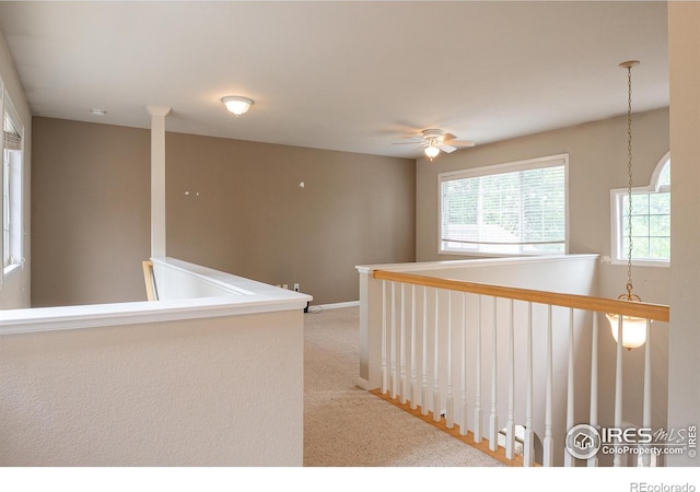 925 Benson Ln, Fort Collins, CO 80525 - photo 20