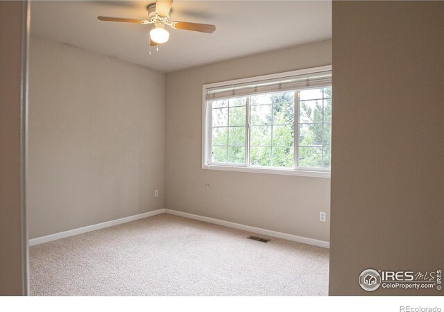 925 Benson Ln, Fort Collins, CO 80525 - photo 22