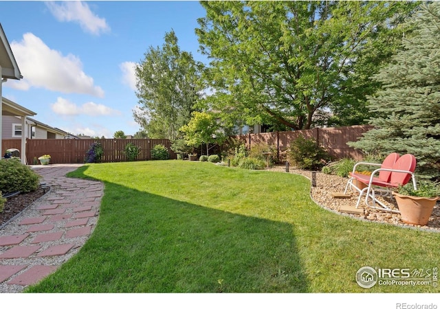 123 Kitty Hawk Dr, Windsor, CO 80550 - photo 36