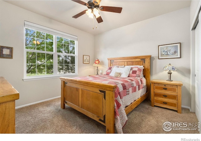 123 Kitty Hawk Dr, Windsor, CO 80550 - photo 21