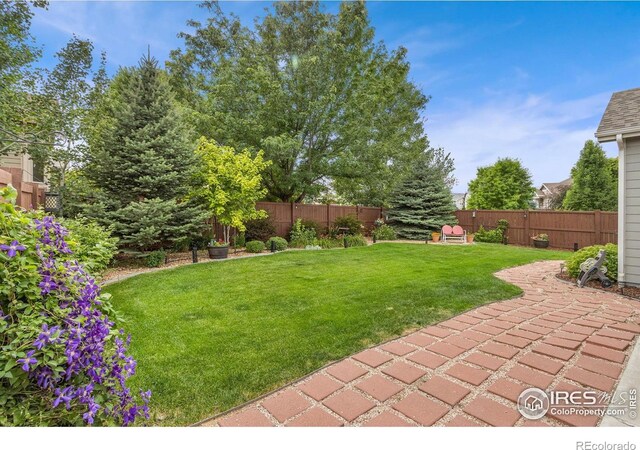 123 Kitty Hawk Dr, Windsor, CO 80550 - photo 33