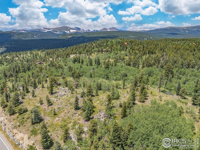 1568 County Road 103, Nederland, CO 80466