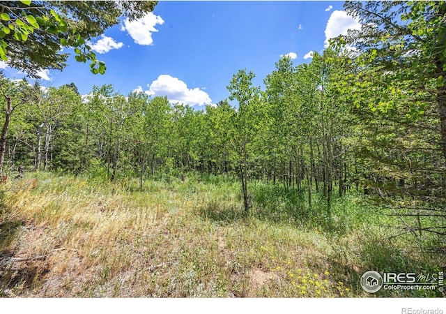 1568 County Road 103, Nederland, CO 80466