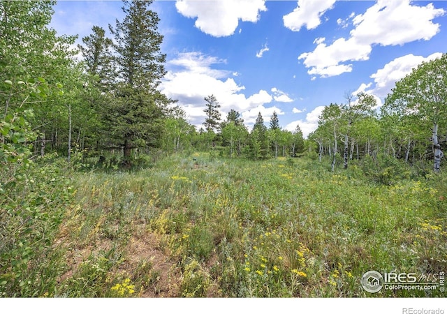 1568 County Road 103, Nederland, CO 80466