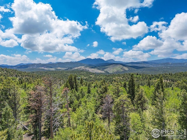 1568 County Road 103, Nederland, CO 80466