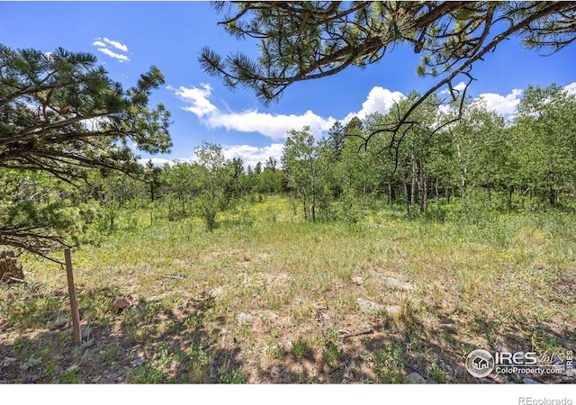 1568 County Road 103, Nederland, CO 80466