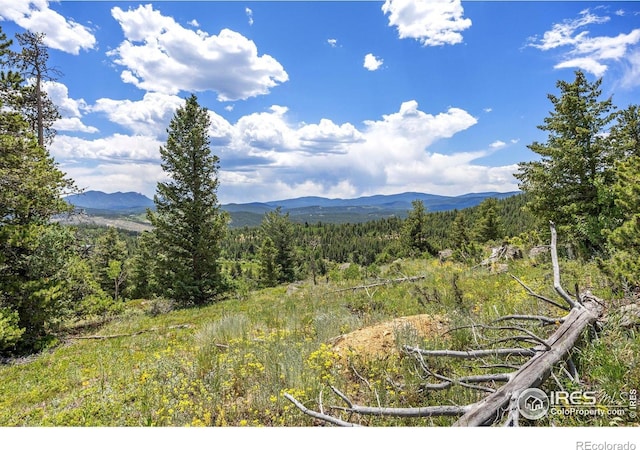 1568 County Road 103, Nederland, CO 80466