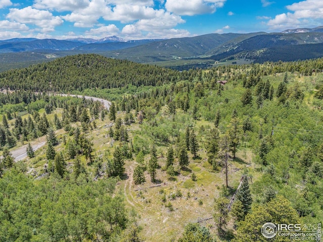 1568 County Road 103, Nederland, CO 80466