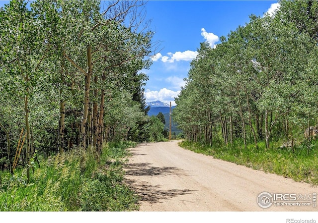 1568 County Road 103, Nederland, CO 80466