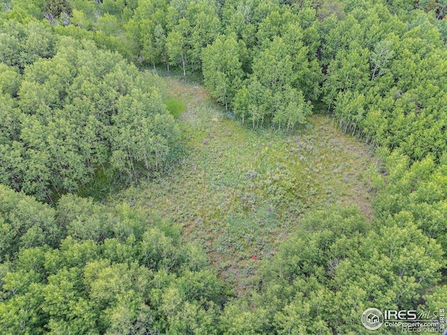 1568 County Road 103, Nederland, CO 80466