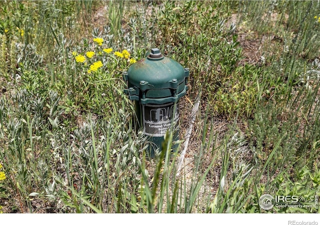1568 County Road 103, Nederland, CO 80466