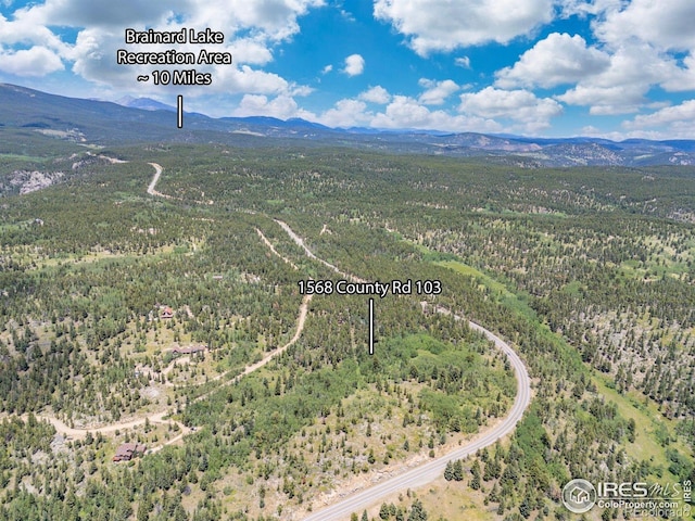 1568 County Road 103, Nederland, CO 80466