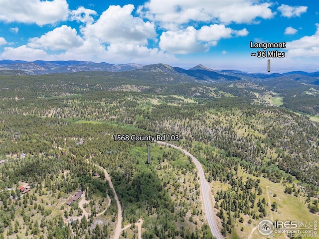 1568 County Road 103, Nederland, CO 80466