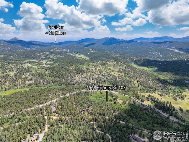 1568 County Road 103, Nederland, CO 80466