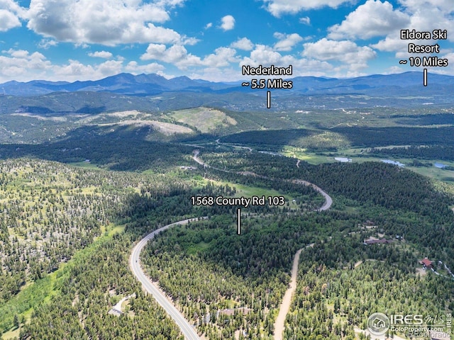 1568 County Road 103, Nederland, CO 80466