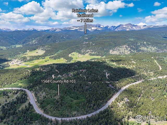 1568 County Road 103, Nederland, CO 80466