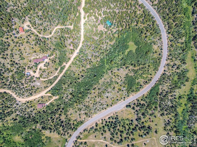 1568 County Road 103, Nederland, CO 80466