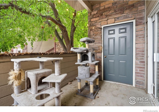 4545 Wheaton Dr Unit 130, Fort Collins, CO 80525 - photo 10