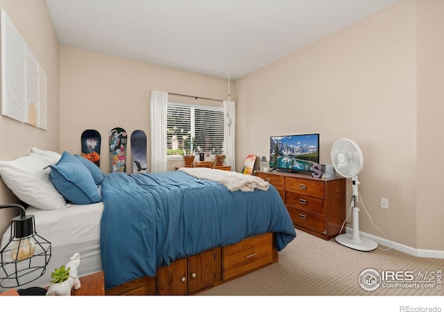 4545 Wheaton Dr Unit 130, Fort Collins, CO 80525 - photo 24