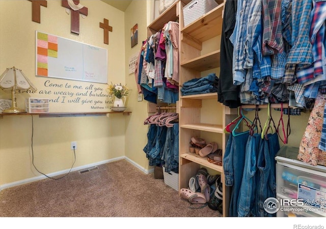 1520 Lake Vista Way, Severance, CO 80550 - spacious closet featuring carpet flooring