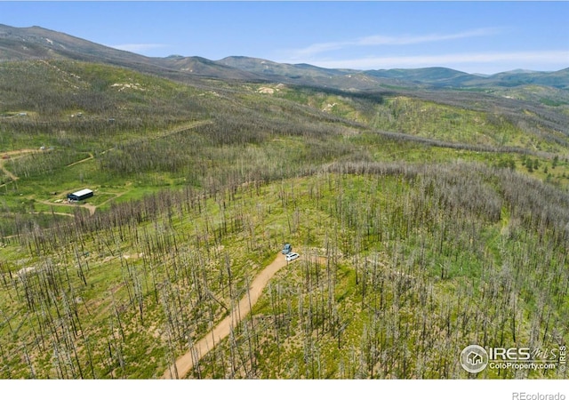 1025 Crystal Mountain Rd, Bellvue, CO 80512 - photo 3