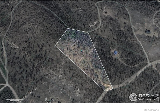 1025 Crystal Mountain Rd, Bellvue, CO 80512 - photo 4