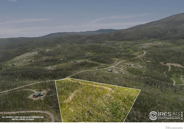 1025 Crystal Mountain Rd, Bellvue, CO 80512 - photo 5