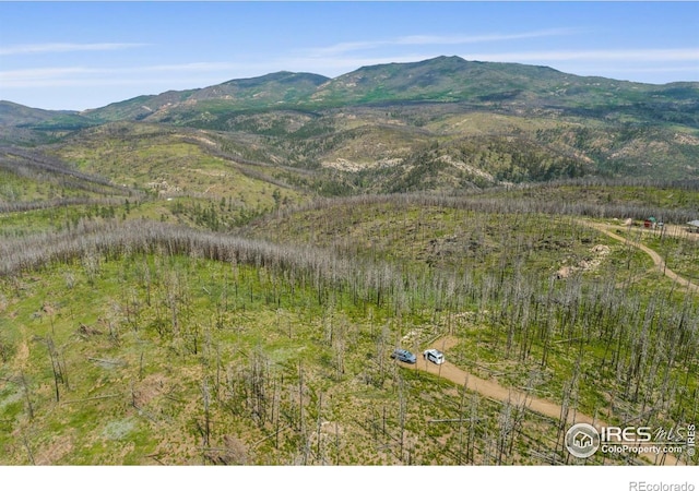 1025 Crystal Mountain Rd, Bellvue, CO 80512 - photo 6