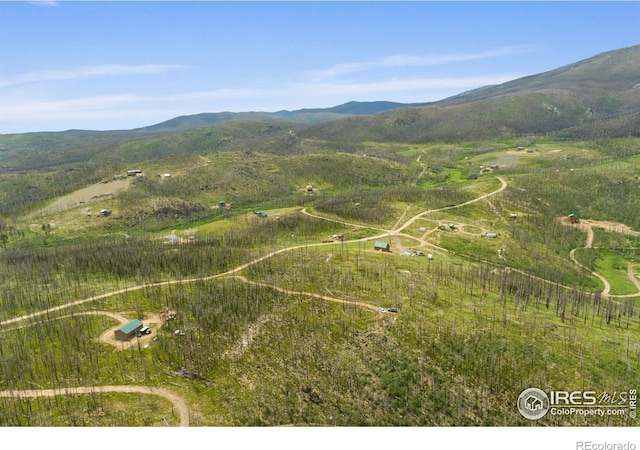 1025 Crystal Mountain Rd, Bellvue, CO 80512 - photo 7