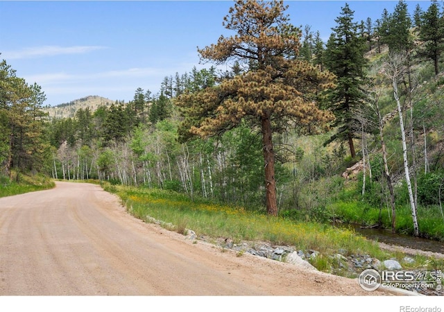 1025 Crystal Mountain Rd, Bellvue, CO 80512 - photo 14