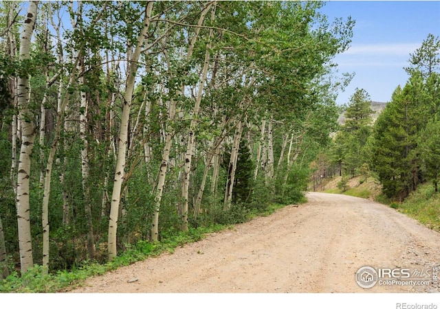 1025 Crystal Mountain Rd, Bellvue, CO 80512 - photo 15