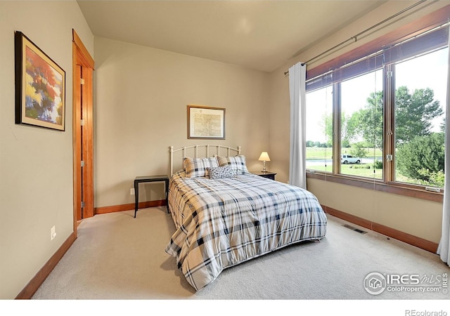 2276 Seven Lakes Dr, Loveland, CO 80538 - photo 20