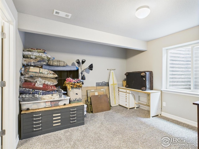1729 Avery Plaza St, Severance, CO 80550 - view of storage room