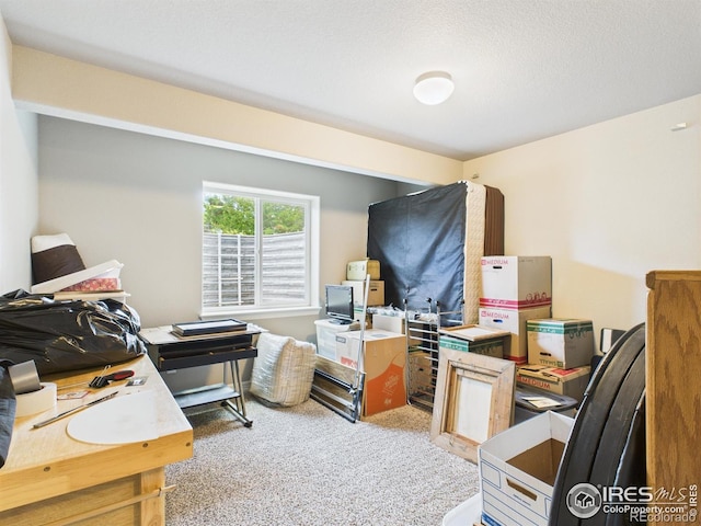 1729 Avery Plaza St, Severance, CO 80550 - office area featuring light carpet