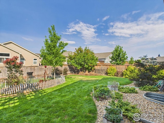 1729 Avery Plaza St, Severance, CO 80550 - view of yard