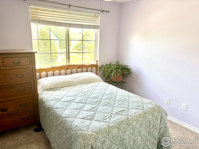 6721 Antigua Dr Unit 57, Fort Collins, CO 80525 - carpeted bedroom featuring baseboards