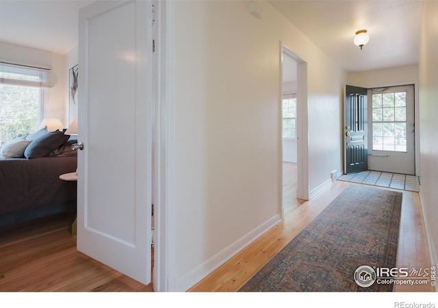 1539 Peterson St, Fort Collins, CO 80524 - hallway with light wood finished floors and baseboards