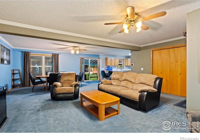 611 Elizabeth Ave, Platteville, CO 80651 - carpeted living room featuring a textured ceiling, ornamental molding, and ceiling fan