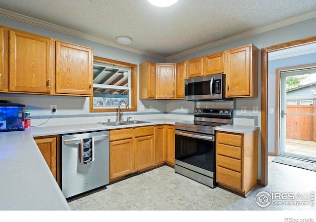 611 Elizabeth Ave, Platteville, CO 80651 - kitchen featuring stainless steel appliances, light flooring, light countertops, crown molding, and a textured ceiling