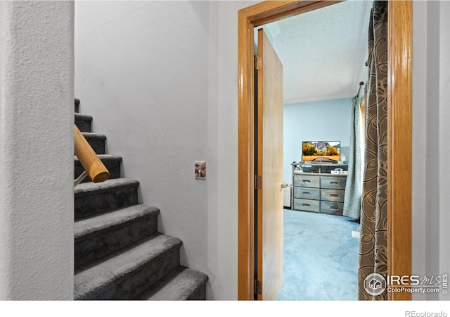 611 Elizabeth Ave, Platteville, CO 80651 - stairway featuring carpet and a textured ceiling