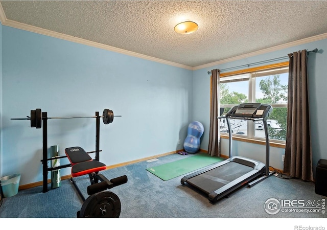 611 Elizabeth Ave, Platteville, CO 80651 - exercise area with ornamental molding, carpet flooring, and a textured ceiling