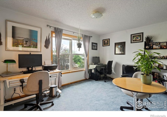 611 Elizabeth Ave, Platteville, CO 80651 - office with ornamental molding, a textured ceiling, and carpet flooring