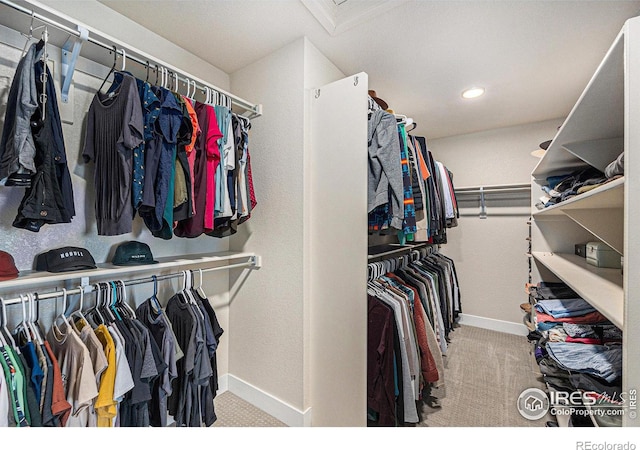 19239 W 88th Dr, Arvada, CO 80007 - spacious closet with carpet floors