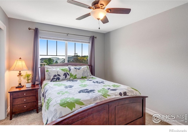 3007 Sedgwick Ct, Loveland, CO 80538 - photo 19