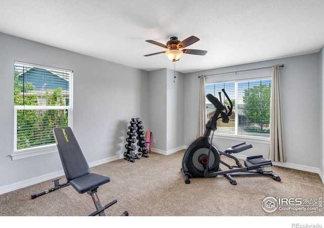 3007 Sedgwick Ct, Loveland, CO 80538 - photo 21