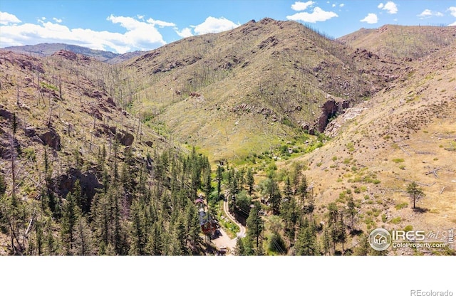 200 Falls Creek Dr, Bellvue, CO 80512 - mountain view